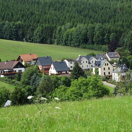 Ferienwohnung "Am Vaterlandsgrubenweg" Oelsnitz  Extérieur photo